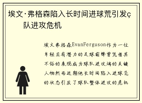 埃文·弗格森陷入长时间进球荒引发球队进攻危机 埃文·弗格森陷入长时间进球荒引发球队进攻危机
