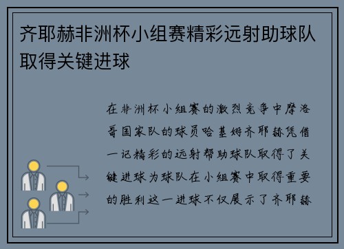 齐耶赫非洲杯小组赛精彩远射助球队取得关键进球
